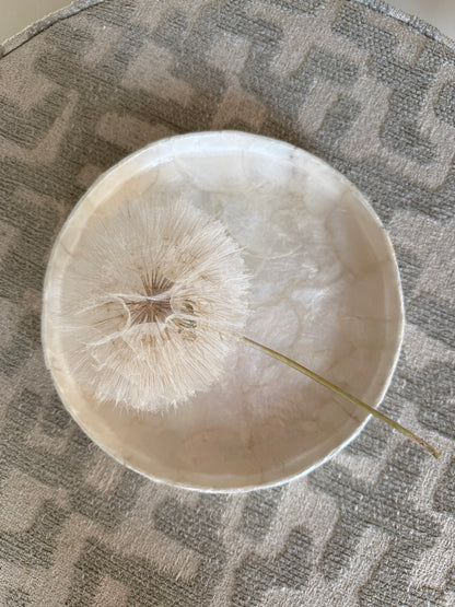 Decoratief Dienblad Schelp – Wit